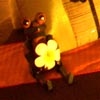 http://www.thai-arun.com/s_etc001.jpg